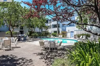 Photo #1: 41092565 Listing