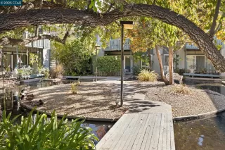 Photo #1: 41092594 Listing