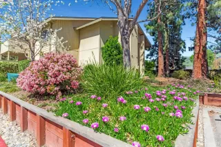 Photo #6: 41092720 Listing