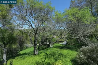 Photo #6: 41092773 Listing 