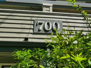 Photo #1: 41092825 Listing 