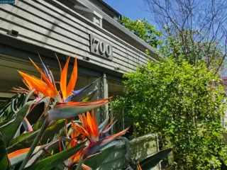 Photo #2: 41092825 Listing 