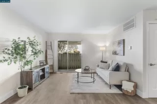 Photo #1: 41093478 Listing 