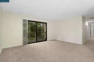 Photo #1: 41093849 Listing 