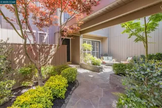 Photo #1: 41094154 Listing 