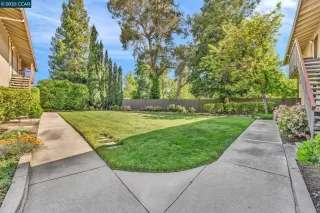 Photo #2: 41094449 Listing