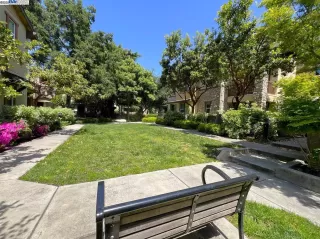 Photo #1: 41094578 Listing