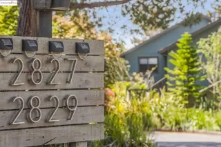 Photo #1: 41094919 Listing 