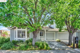 Photo #2: 41094974 Listing