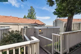 Photo #1: 41095279 Listing 