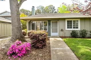 Photo #1: 41095502 Listing 