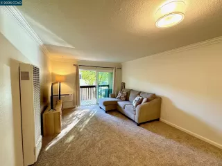 Photo #1: 41095837 Listing 