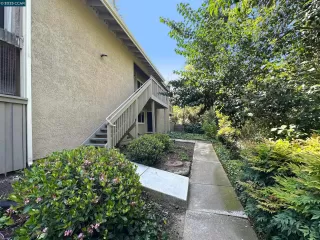 Photo #1: 41096161 Listing 