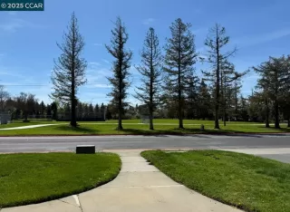 Photo #1: 41096321 Listing