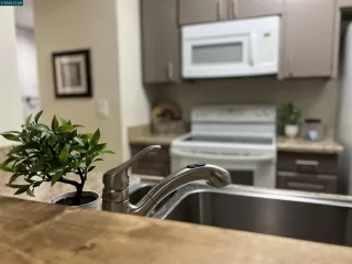 Photo #3: 41096583 Listing 