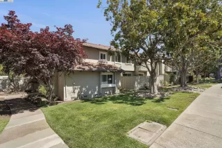 Photo #1: 41097093 Listing