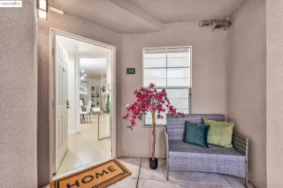 Photo #1: 41097234 Listing