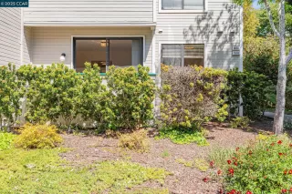 Photo #1: 41097501 Listing