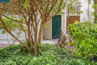 Photo #3: 41097501 Listing