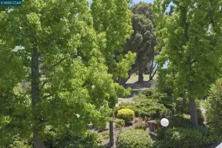 Photo #2: 41097612 Listing