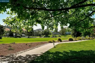 Photo #1: 41097957 Listing 