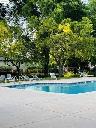 Photo #6: 41097958 Listing