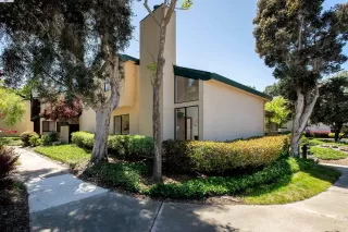 Photo #1: 41098116 Listing