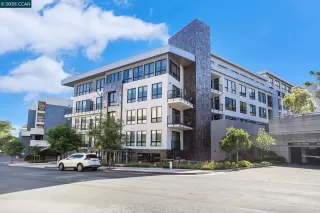 Photo #1: 41098646 Listing 