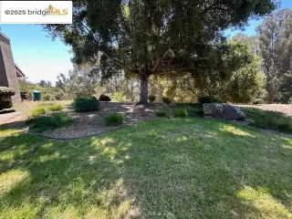 Photo #3: 41098675 Listing 