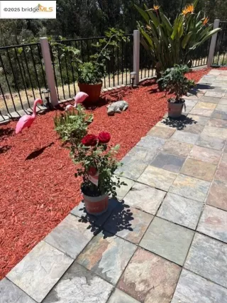 Photo #6: 41098675 Listing 
