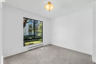 Photo #3: 41099276 Listing 