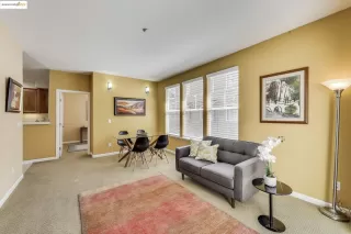 Photo #1: 41099488 Listing 