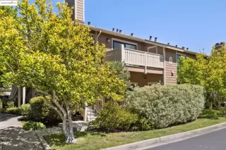 Photo #3: 41099560 Listing 