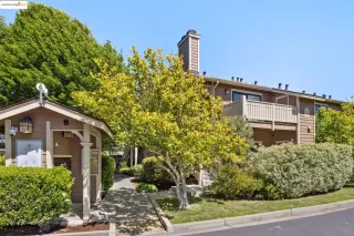 Photo #4: 41099560 Listing 