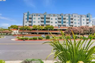 Photo #1: 41099667 Listing