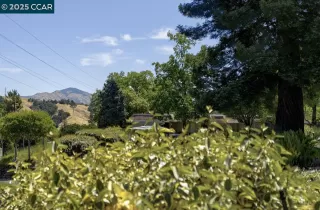 Photo #3: 41099705 Listing