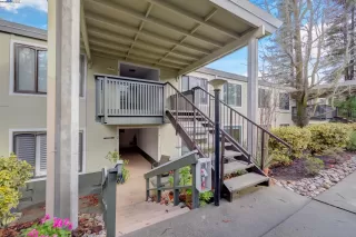 Photo #1: 41099707 Listing 