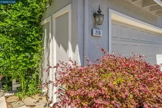 Photo #3: 41099859 Listing