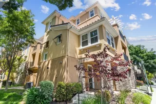 Photo #1: 41099945 Listing