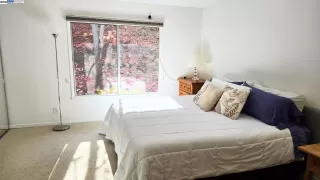 Photo #6: 41099948 Listing