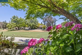 Photo #5: 41100153 Listing