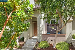 Photo #1: 41100221 Listing 