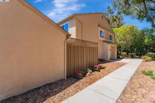 Photo #1: 41100222 Listing 