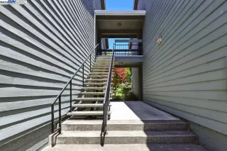 Photo #6: 41100522 Listing 