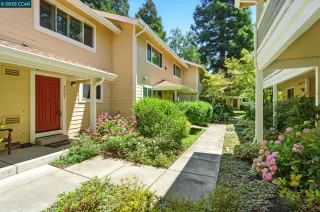 Photo #1: 41101169 Listing