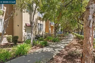 Photo #4: 41101328 Listing