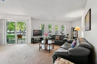 Photo #1: 41101849 Listing