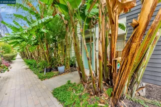 Photo #4: 41102152 Listing 