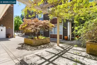 Photo #1: 41102383 Listing