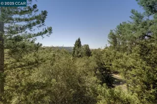 Browse active condo listings in ROSSMOOR